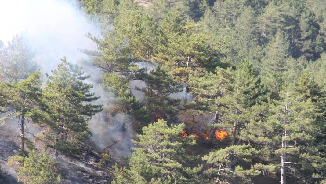 Bolu'da orman yangını 2'nci gününde! Alevler 100 hektarlık alana yayıldı 8